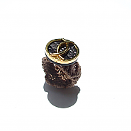 Texcoco Ring