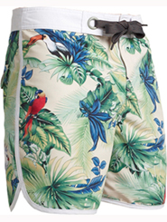 BIRDS OF PARADISE